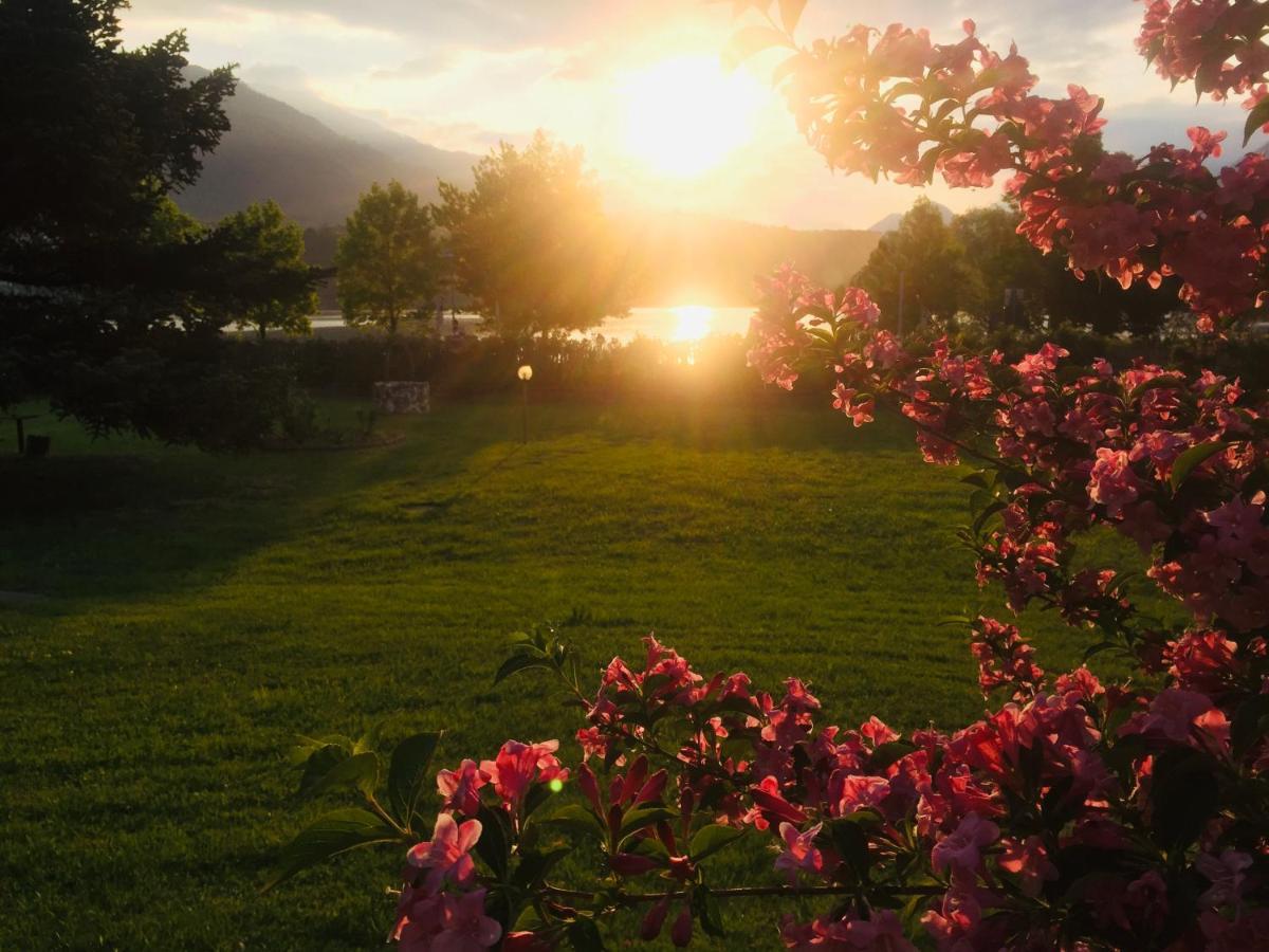 Paradiso Sul Lago Calceranica al Lago Dış mekan fotoğraf
