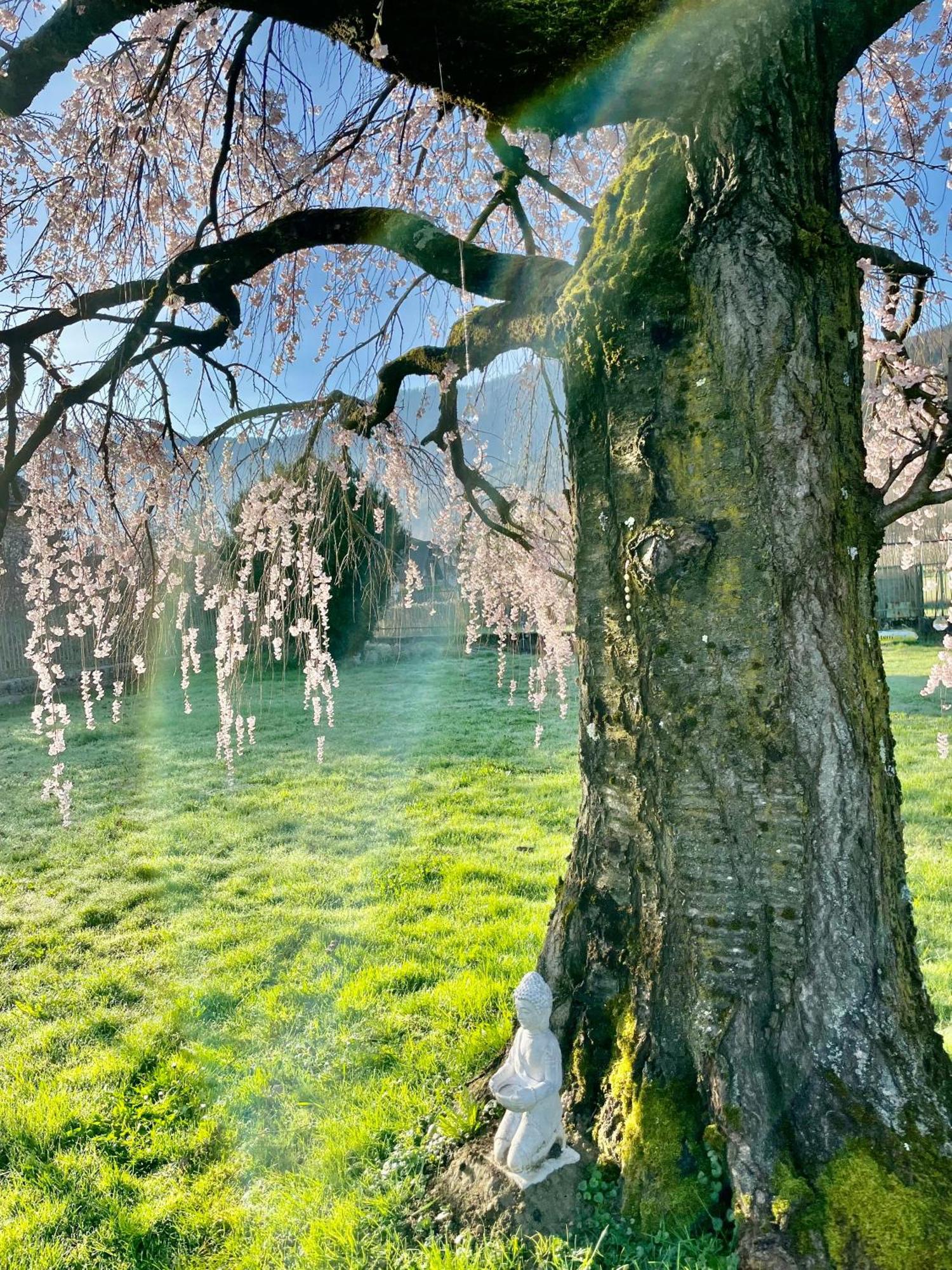 Paradiso Sul Lago Calceranica al Lago Dış mekan fotoğraf